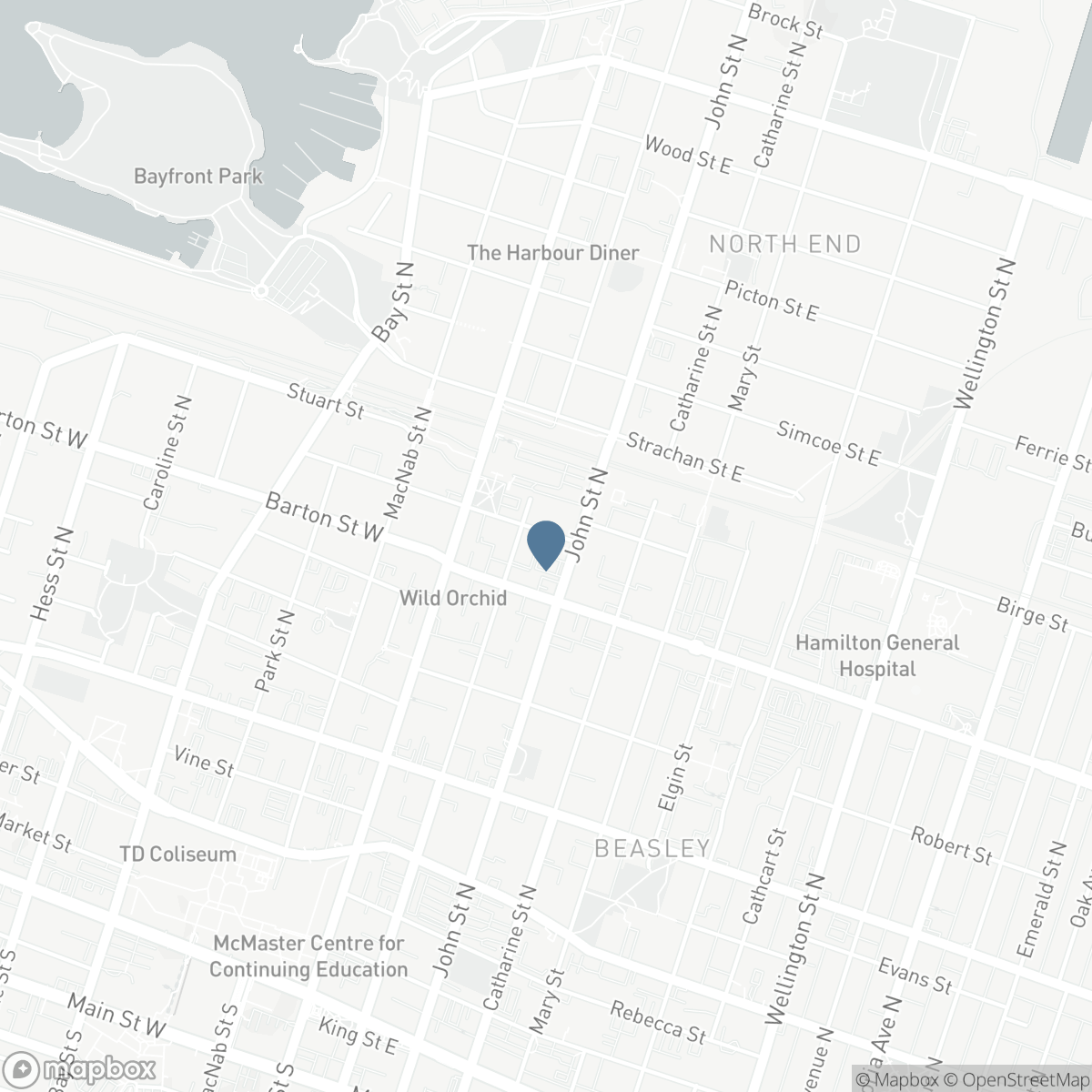 46 MURRAY STREET E, Hamilton, Ontario L8L 3E9